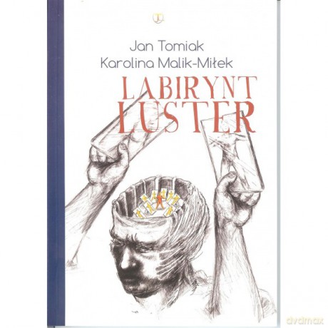 Labirynt luster [KSIĄŻKA]