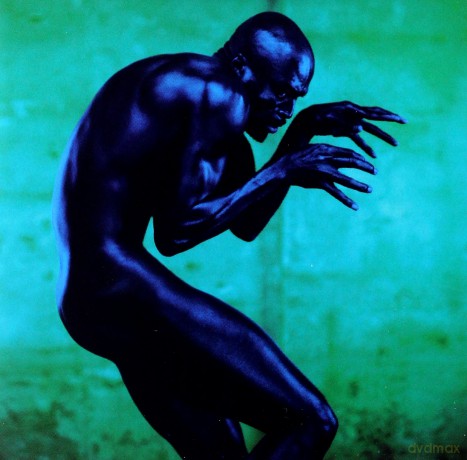 Seal: Human Being [CD]