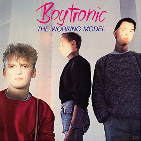Boytronic: The Working Model (Deluxe Edition) [CD]
