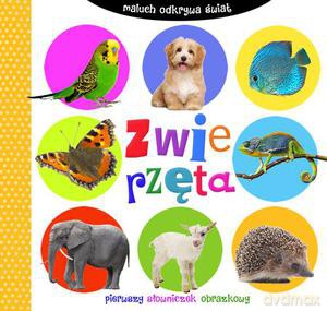 Maluch odkrywa świat. Zwierzęta (twarda) [KSIĄŻKA]