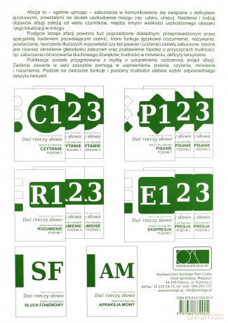 Dać rzeczy słowo. Czytanie - poziom 2 [KSIĄŻKA]