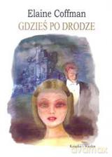 Gdzieś po drodze [KSIĄŻKA]