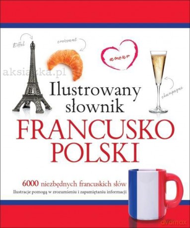 Ilustrowany słownik francusko-polski [KSIĄŻKA]