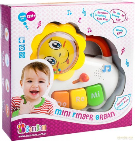 Mini organki