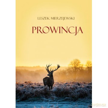 Prowincja [KSIĄŻKA]