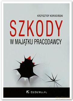 Szkody w majątku pracodawcy [KSIĄŻKA]