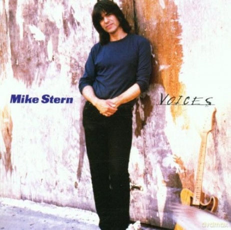 Mike Stern: Voices [CD]