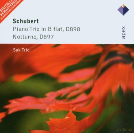 Suk Trio: Schu: Klaviertrio Op.99/Nocturn [CD]