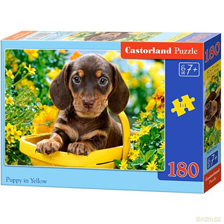 CASTOR 180 el. Szczeniak [PUZZLE]