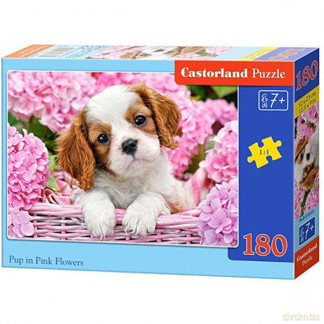 CASTOR 180 el. Szczeniak w różowa [PUZZLE]