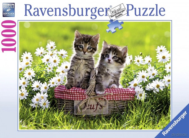 RAVENSBURGER 1000 el. Koci piknik [PUZZLE]