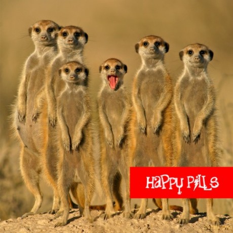 Happy Pills: Happy Pills [CD]