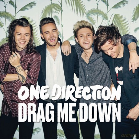 One Direction: Drag Me Down [CD]
