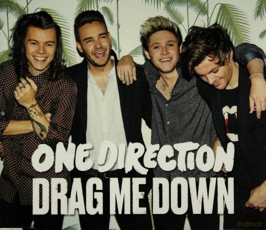 One Direction: Drag Me Down [CD]
