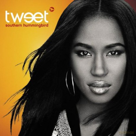 Tweet: Southern Hummingbird [CD]