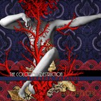Rykarda Parasol: The Color Of Destruction [CD]