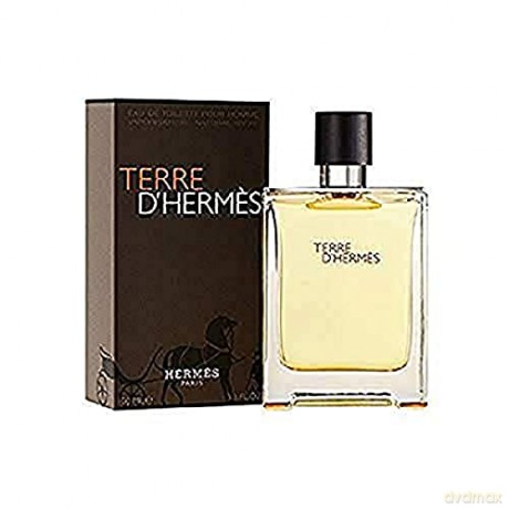 Hermes Terre d Hermes Woda toaletowa 100 ml spray
