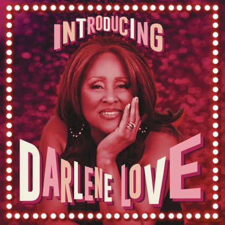 Darlene Love: Introducing Darlene Love [2xWinyl]
