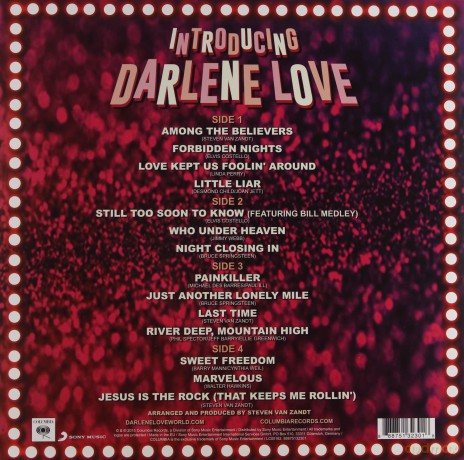 Darlene Love: Introducing Darlene Love [2xWinyl]
