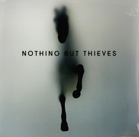 Nothing But Thieves: Nothing But Thieves [Winyl]