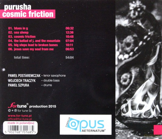Purusha: Cosmetic Friction [CD]