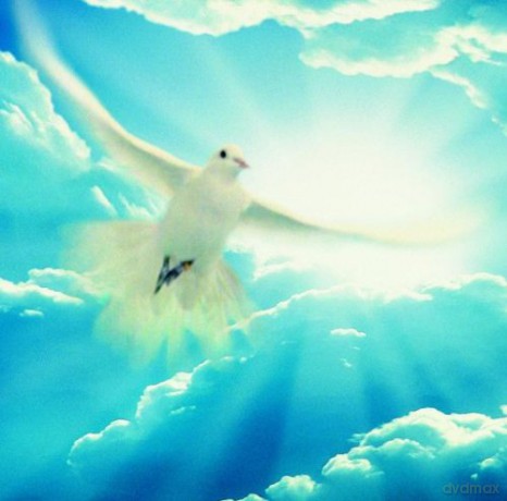 Various: Peace [CD]