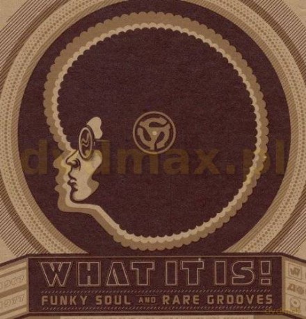 Various: What It Is!-Funky Soul&Rare Grooves [4CD]
