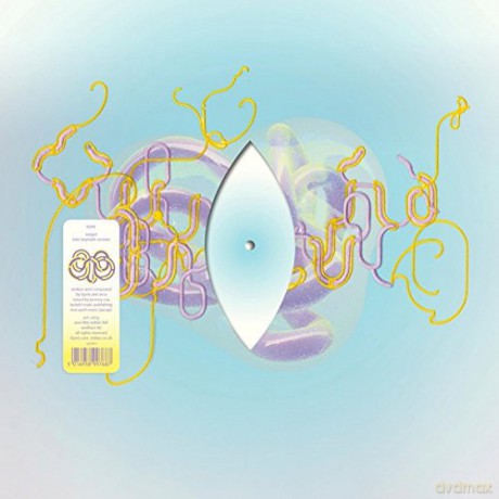 Bjork: Vulnicura Remix 1 [Winyl]