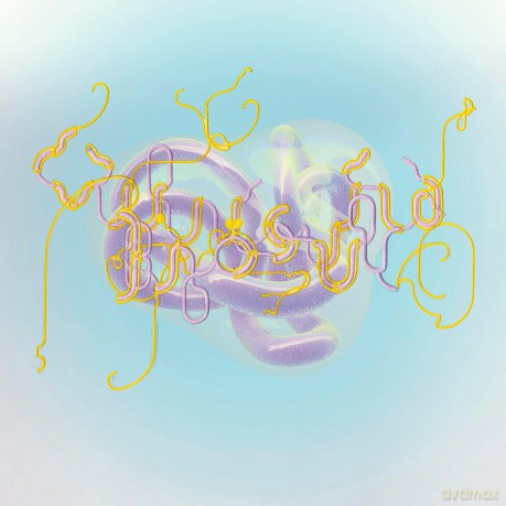 Bjork: Vulnicura Remix 1 [Winyl]