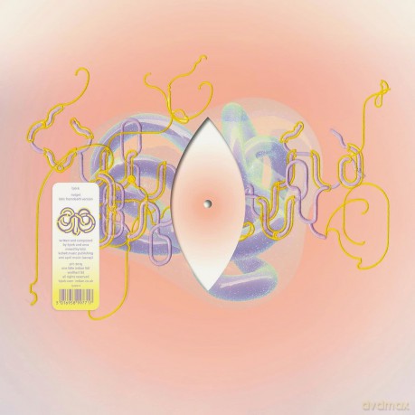 Bjork: Vulnicura Remix 4 [Winyl]