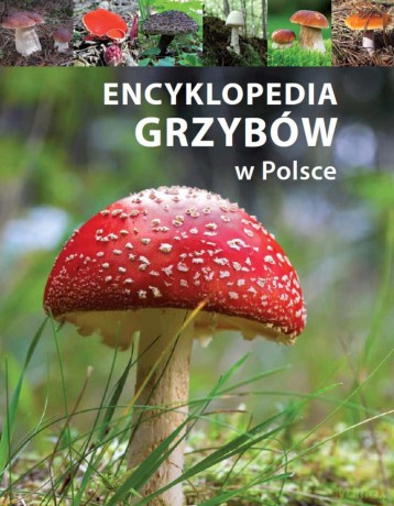 Encyklopedia grzybów w Polsce (twarda) [KSIĄŻKA]