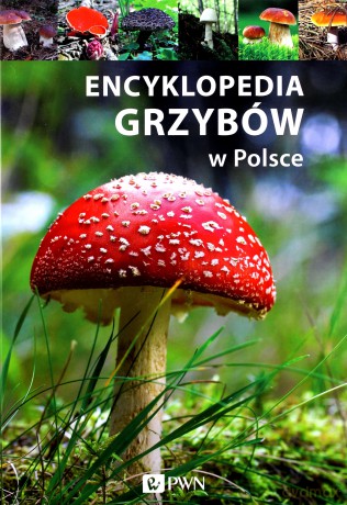 Encyklopedia grzybów w Polsce (twarda) [KSIĄŻKA]