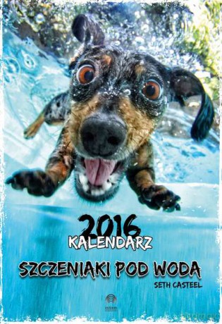 Kalendarz 2015 szczeniaki pod wodą - Seth Casteel [KALENDARZ]