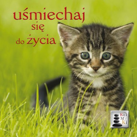 Uśmiechaj się do życia. Kamyki [KSIĄŻKA]