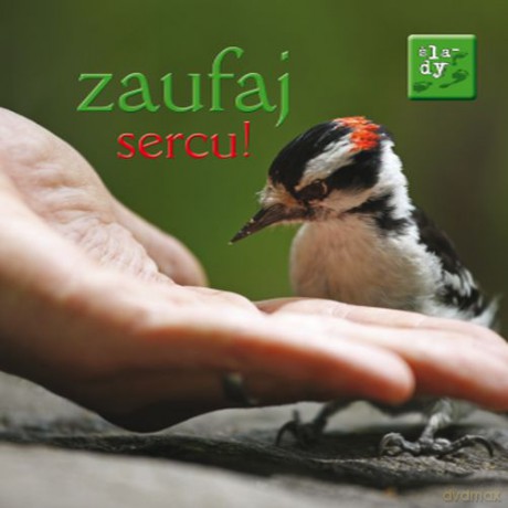 Zaufaj sercu. Ślady [KSIĄŻKA]