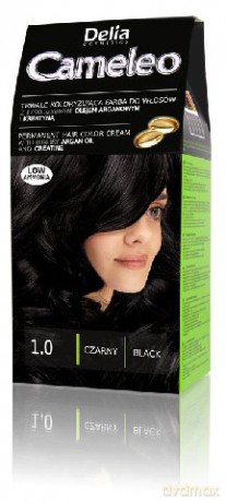 Delia Cosmetics Cameleo Farba nr 1.0 czarny