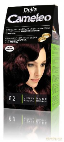 Delia Cosmetics Cameleo Farba nr 6.2 Burgund