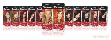 Delia Cosmetics Cameleo Henna Creme Ziołowy Krem Koloryzujący 10 Ciemny Brąz