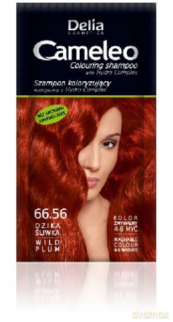 Delia Cosmetics Cameleo Szampon koloryzujący 66.56 dzika śliwka