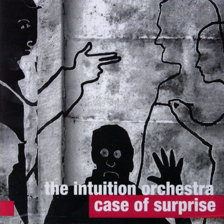 The Intution Orchestra: Case Of Suprise [CD]