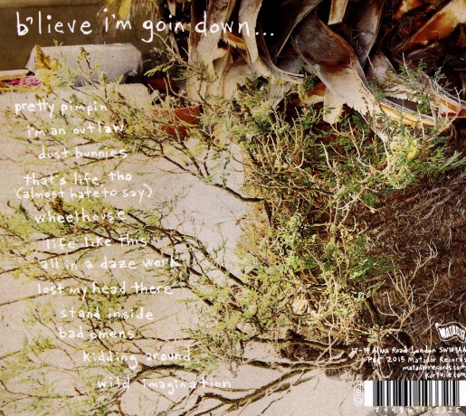 Kurt Vile: B'lieve I'm Going Down... [CD]