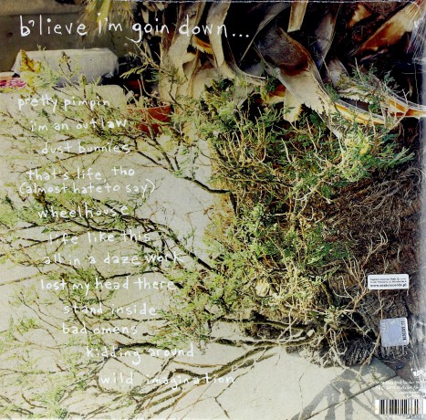 Kurt Vile: B'lieve I'm Going Down... [2xWinyl]