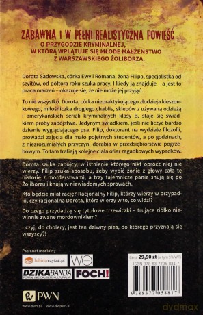 Trzewiczki Matki Boskiej - Joanna Sokolińska [KSIĄŻKA]