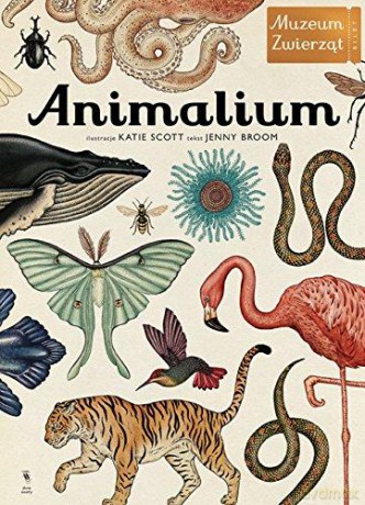 Animalium. Muzeum zwierząt - Jenny Broom, Katie Scott (twarda) [KSIĄŻKA]