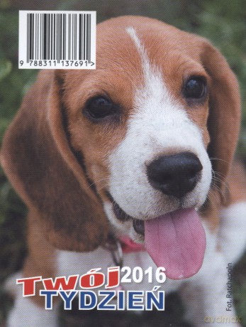 Kalendarz 2016 twój tydzień b7 [KALENDARZ]