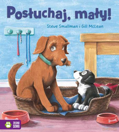 Posłuchaj mały - Steve Smallman [KSIĄŻKA]