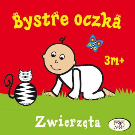 Zwierzęta. Bystre oczka - Joanna Homel, Iwona Janoszek (twarda) [KSIĄŻKA]