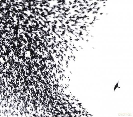 Wilco: Sky Blue Sky (Special Tour Edition) [2CD]