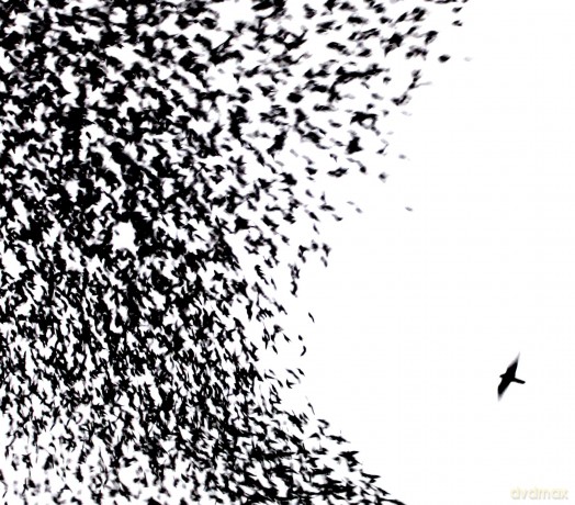 Wilco: Sky Blue Sky [CD]