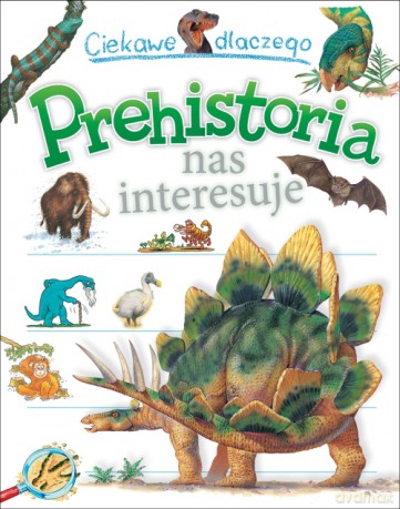 Ciekawe dlaczego Prehistoria nas interesuje - Andrew Charman, Jackie Gaff, Rod Theodorou (twarda) [KSIĄŻKA]